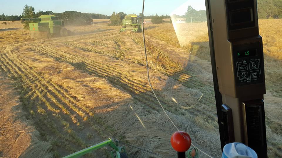 13669838_10208482278153544_5244428867736681454_n