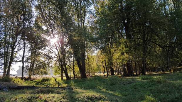 14237482_10208969780860807_5012223517963692310_n