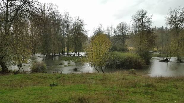 14691030_10209288443507174_6619815490832291184_n