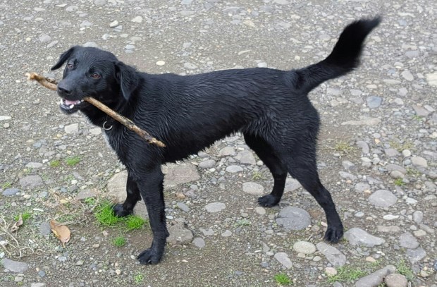 20161031_102801_003_01-1-1