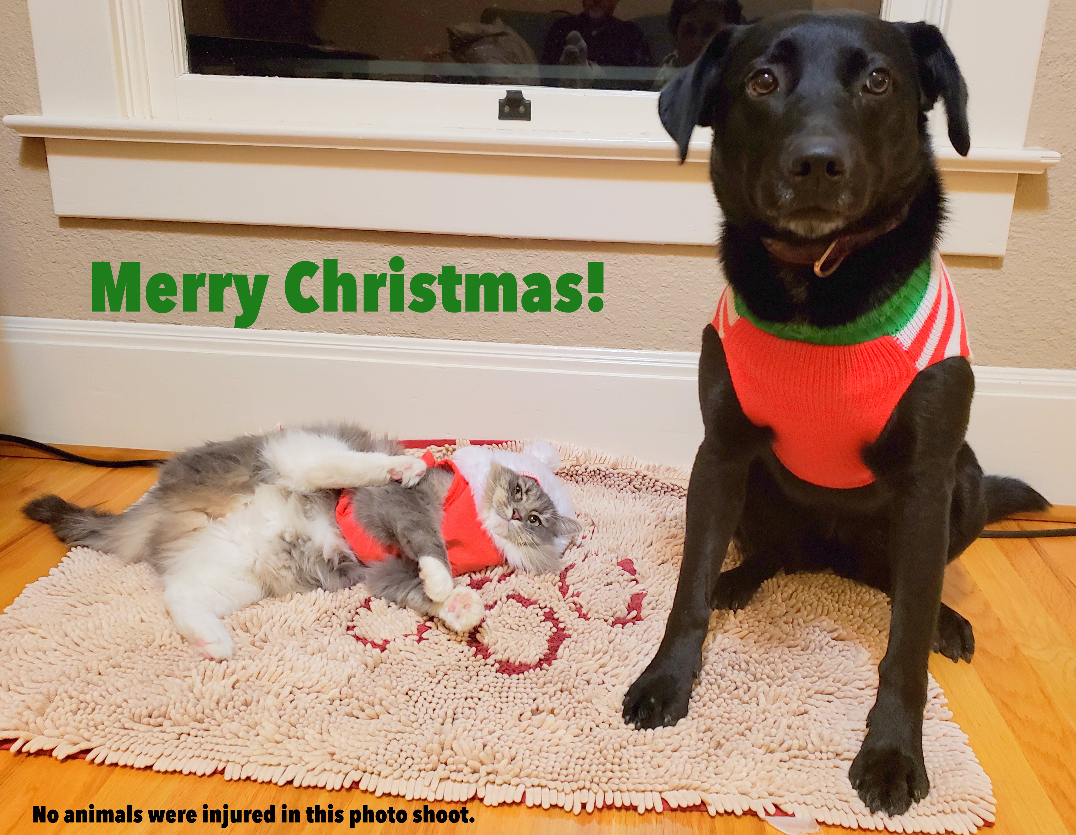 20181221_180443 copy