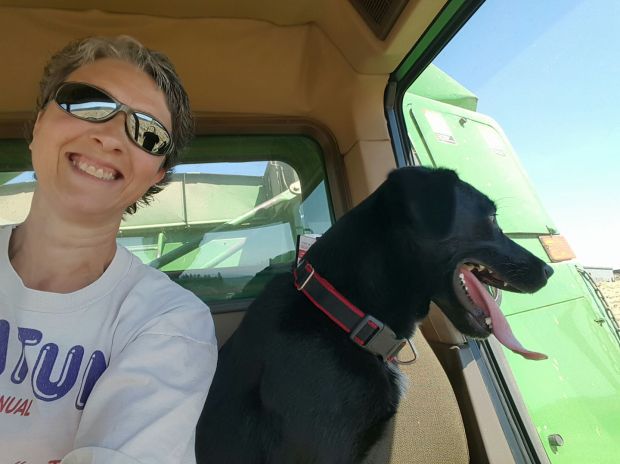 19956674_450785358636477_3402860388364568398_o